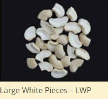Large White Pieces - LWP