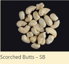 Scorched Butts - SB