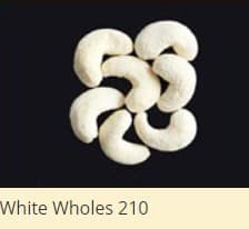 White Wholes 210