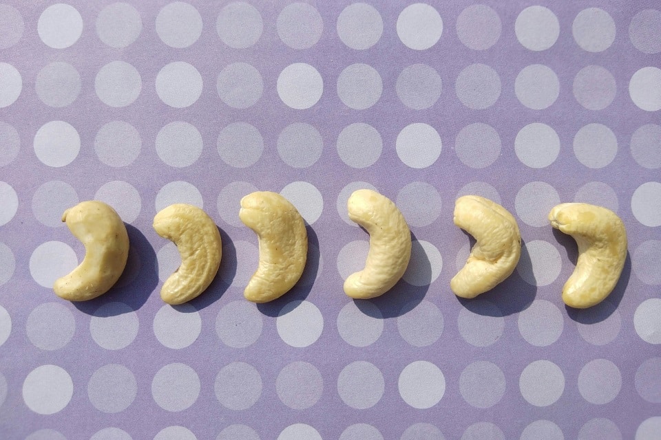 cashew grades