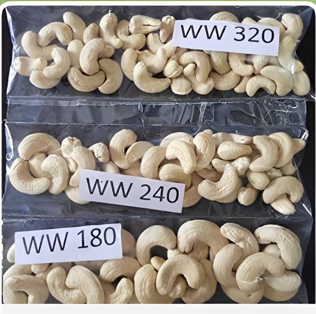 grades of cashew nut