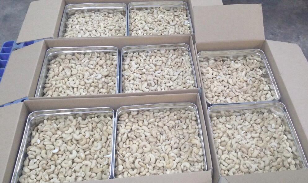 Quality with Color Sorting and Grading in Cashew Processing