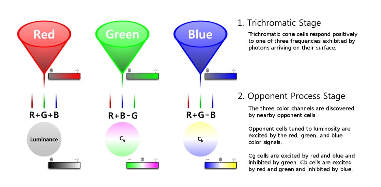 Trichromatic RGB Cameras